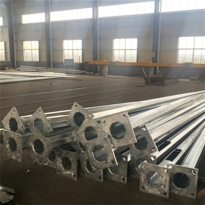 4m 더블 암 가로 램프 극